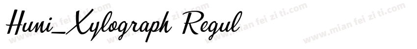 Huni_Xylograph Regul字体转换